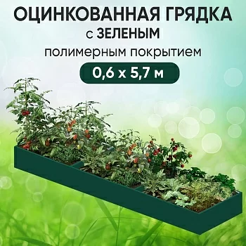 Грядка зеленая (0,6 х 5,7)